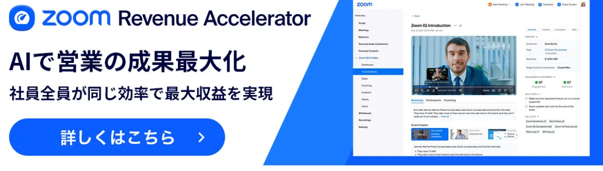 Zoom Revenue Accelerator
