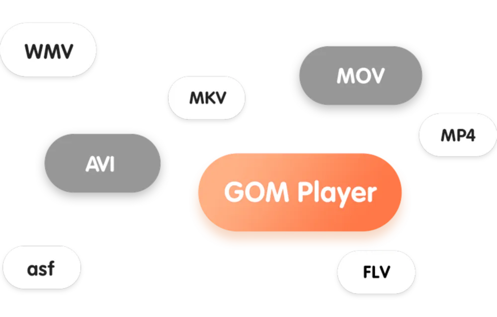 gom player 再生 コレクション できない dvd