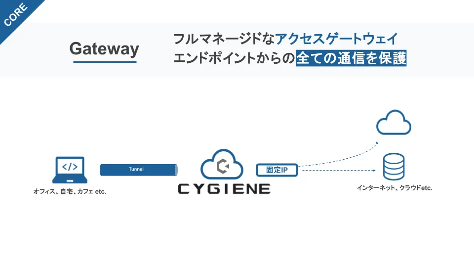 アクセスゲートウェイを設置し、エンドポイントからの全ての通信を保護