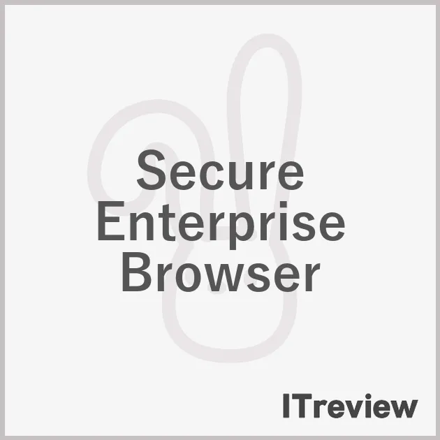 Secure Enterprise Browser