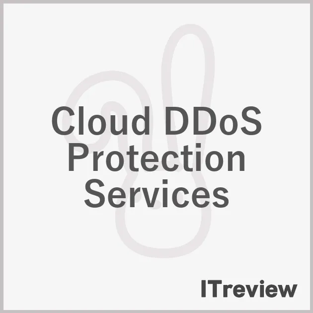 Cloud DDoS Protection Services