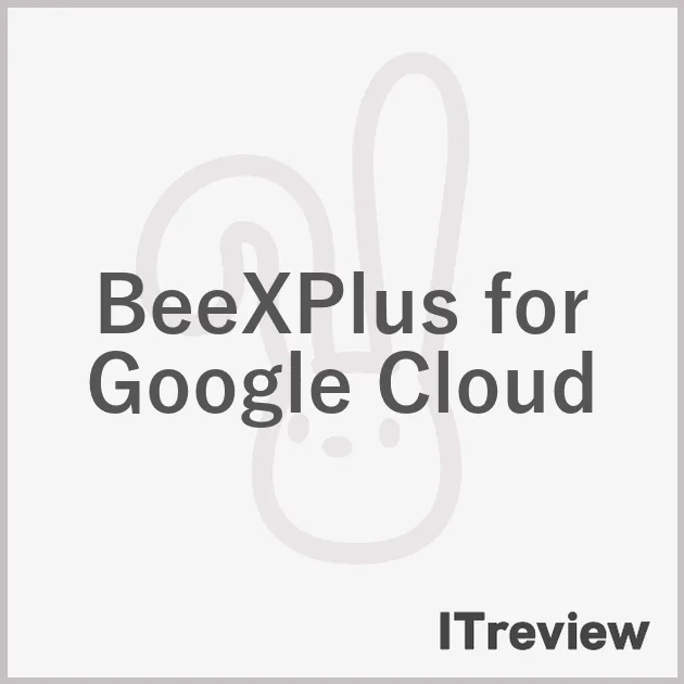 BeeXPlus for Google Cloud