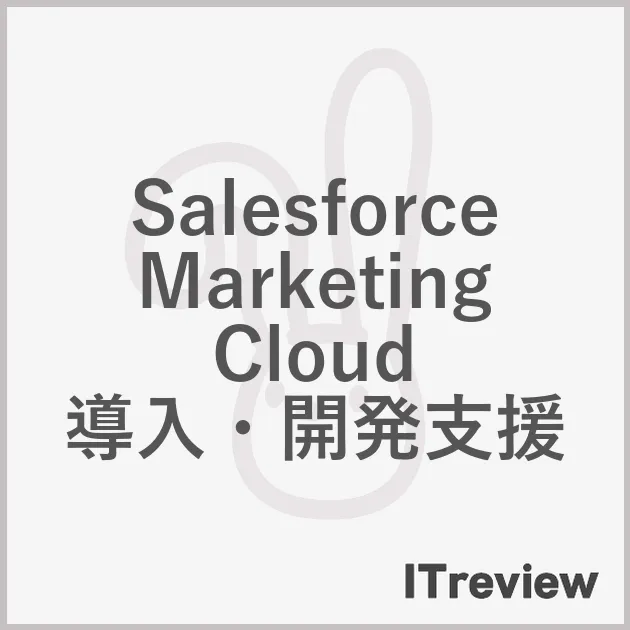 Salesforce Marketing Cloud 導入・開発支援