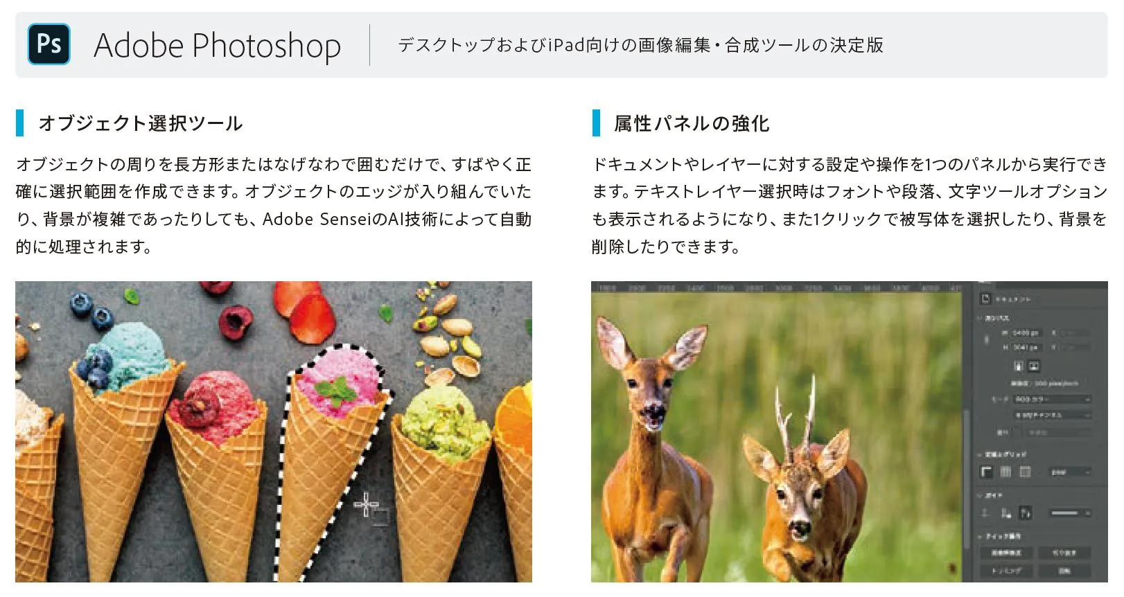 デスクトップおよびiPadAdobe Photoshop 向けの画像編