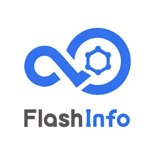 FlashInfo