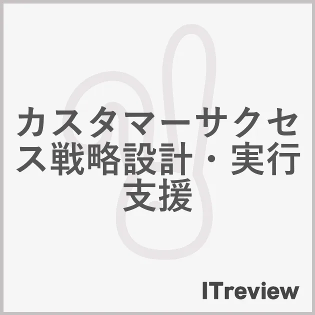カスタマーサクセス戦略設計・実行支援