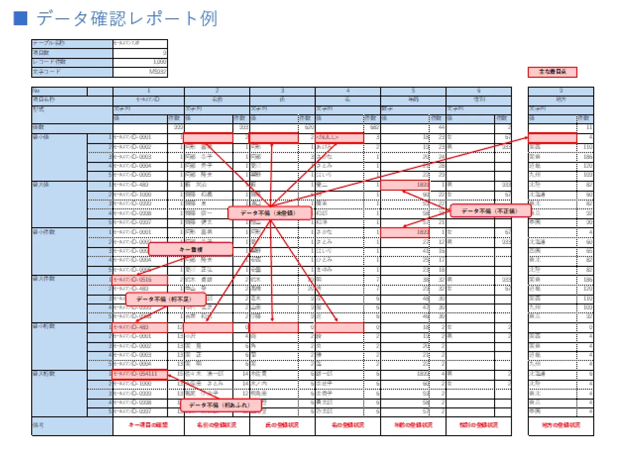 データ確認レポート