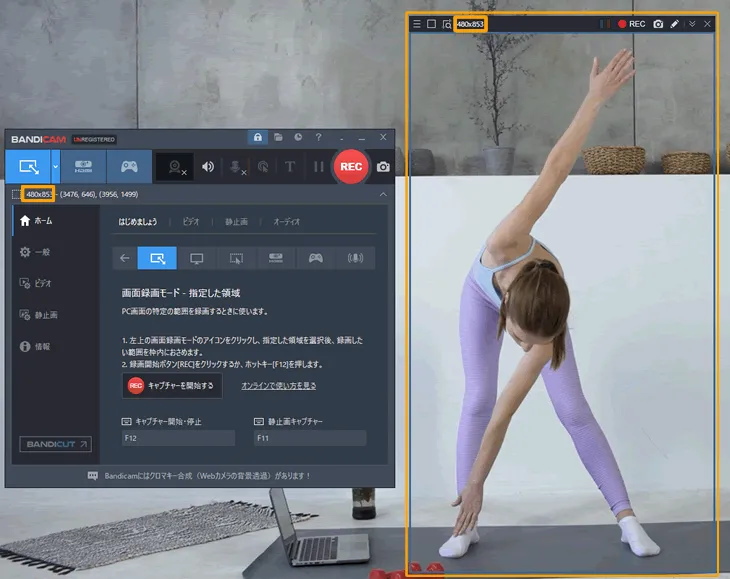 YouTubeショート動画にも対応