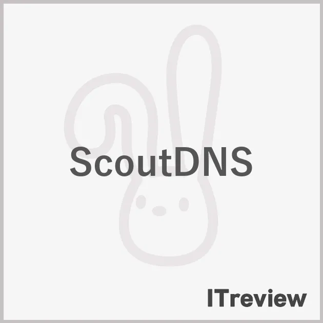 ScoutDNS