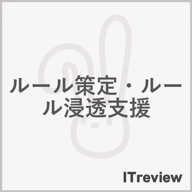 ルール策定・ルール浸透支援