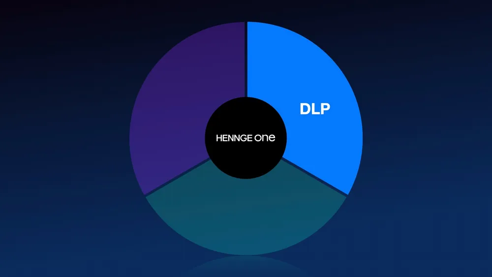 DLP Editionとは