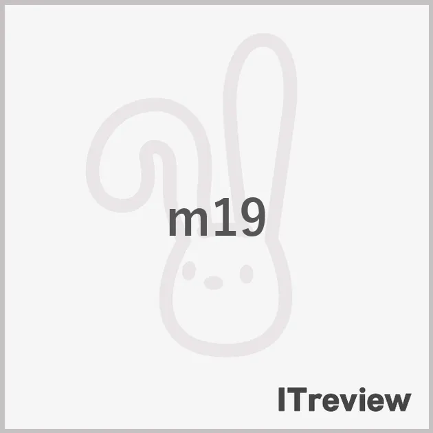 m19