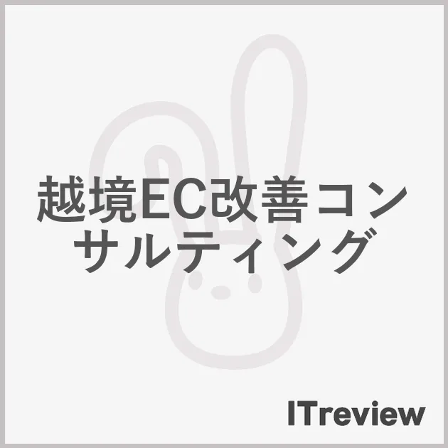 越境EC改善コンサルティング