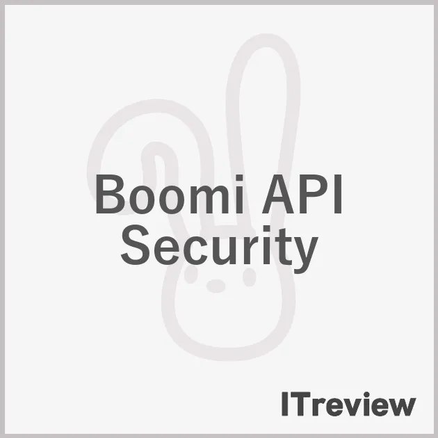 Boomi API Security