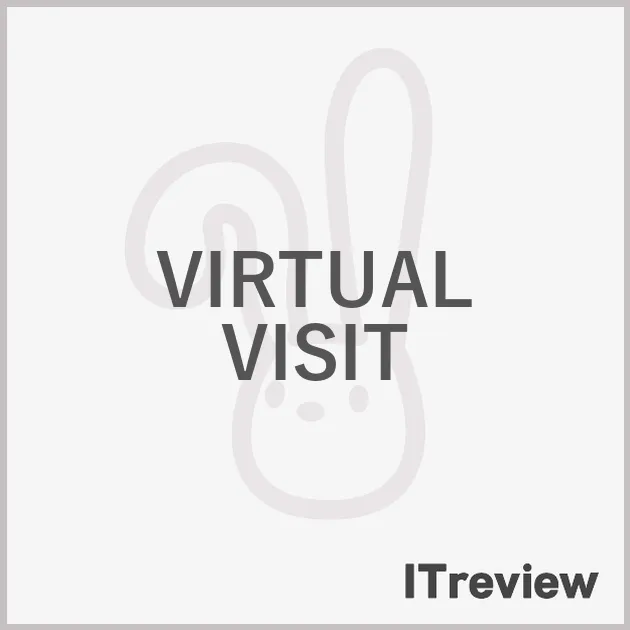 VIRTUAL VISIT