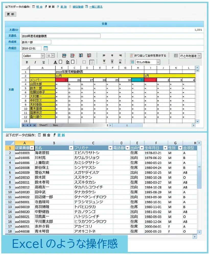 Excelのような操作で表示／編集を可能にする項目型を用意