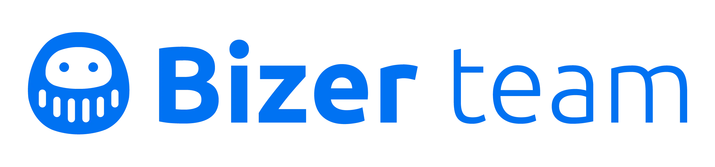 Bizer team