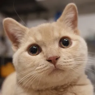 立松 貴央