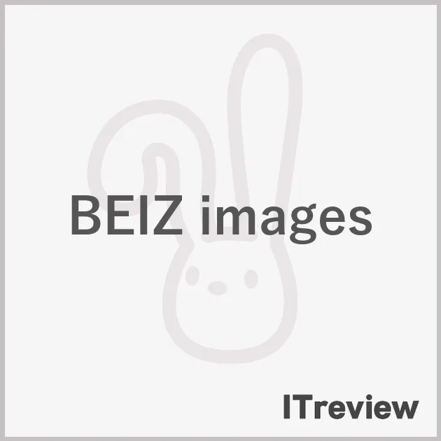 BEIZ images