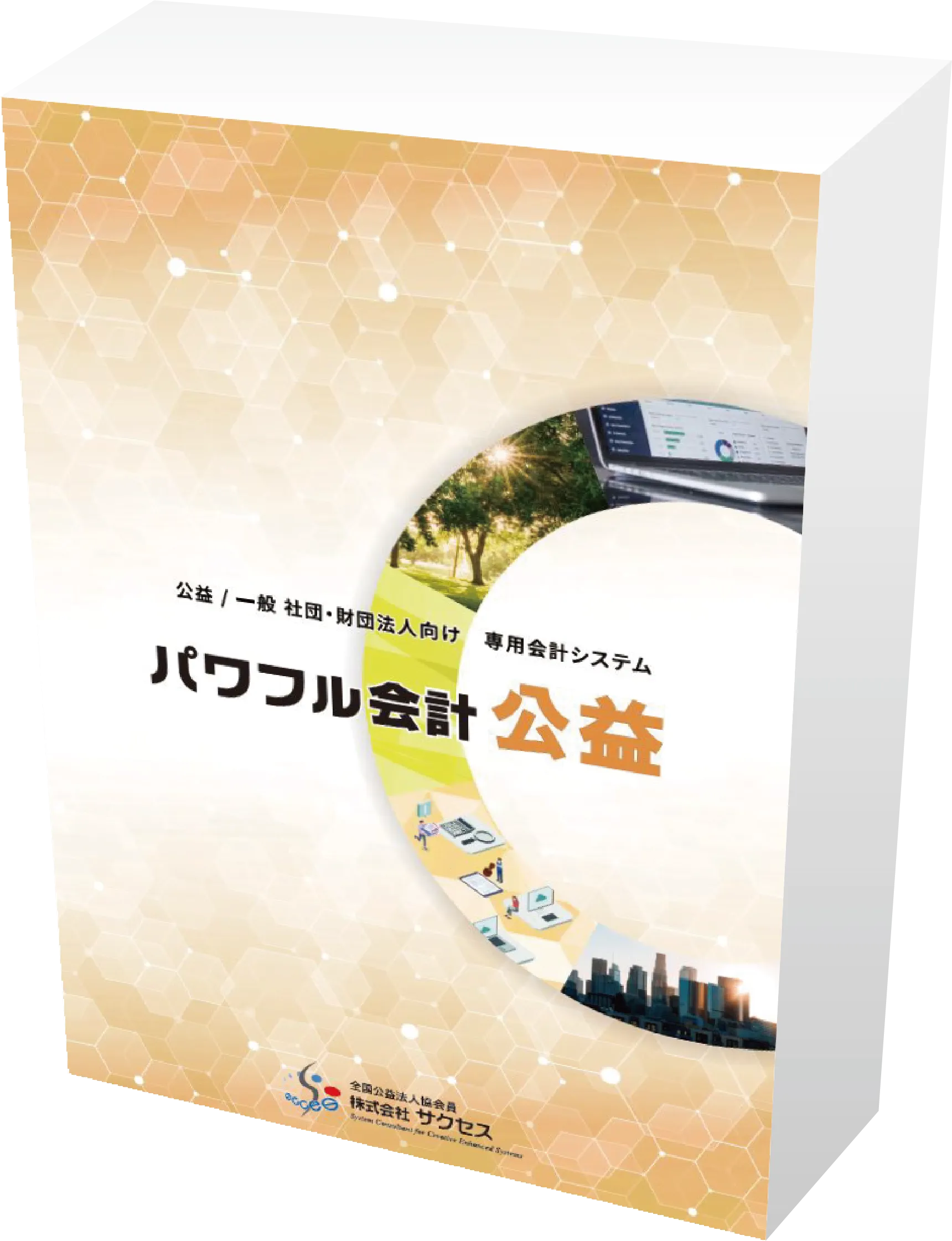 パワフル会計「公益」