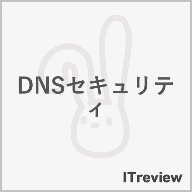 DNSセキュリティ