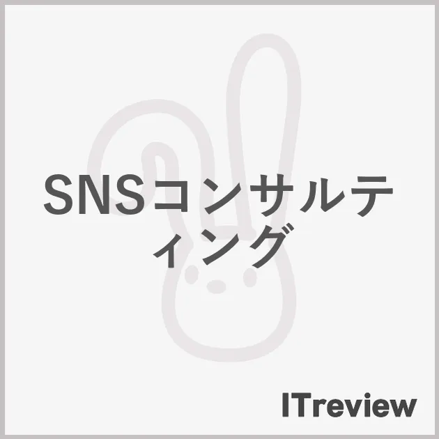 SNSコンサルティング