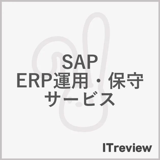 SAP ERP運用・保守サービス