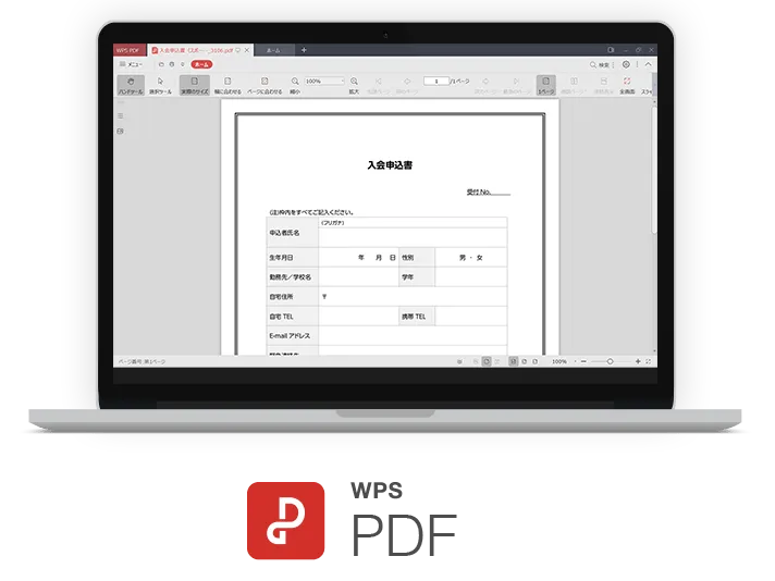 WPS PDF