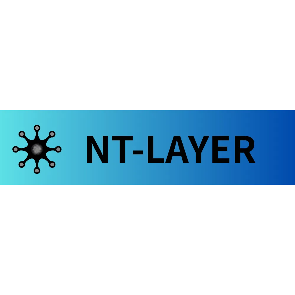 NT-LAYER