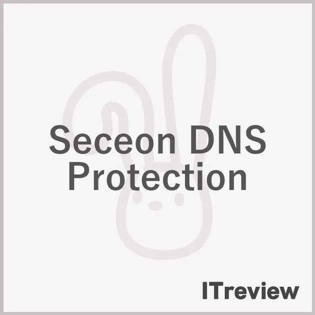 Seceon DNS Protection