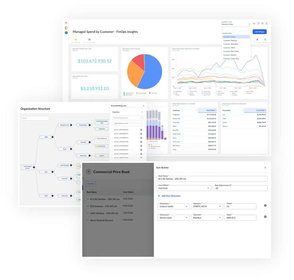 IBM Cloudability for MSPs