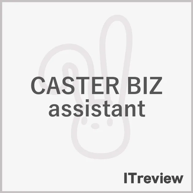 CASTER BIZ assistant