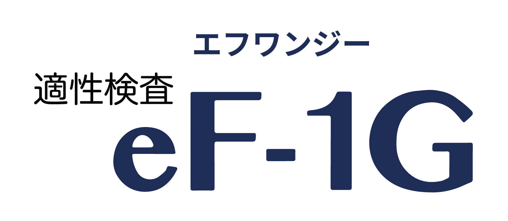 適性検査eF-1G