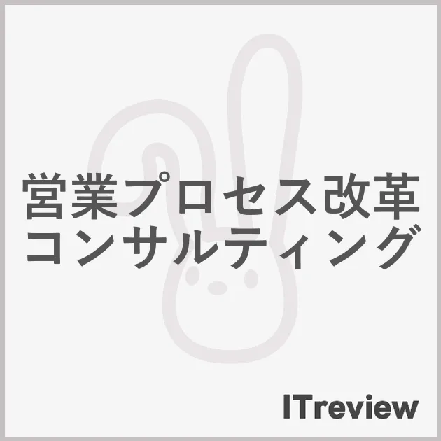 営業プロセス改革コンサルティング