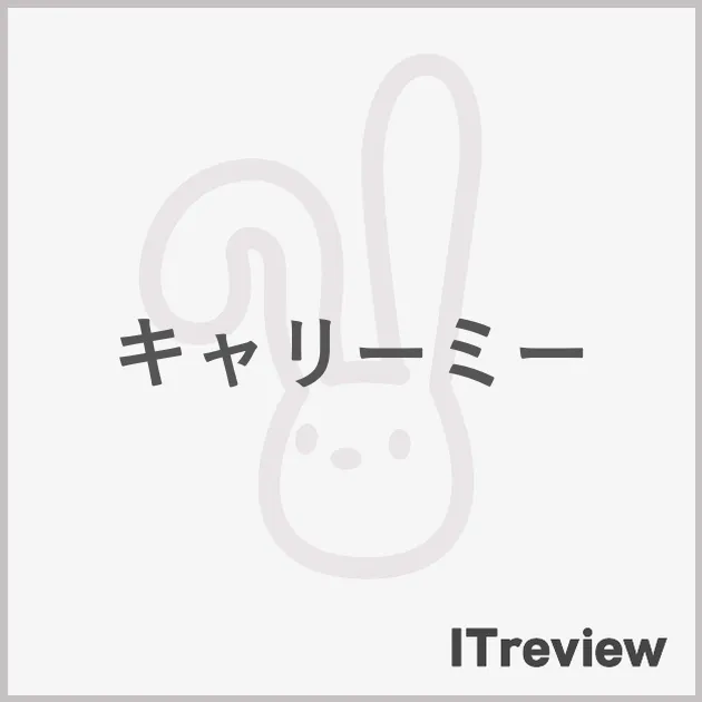 キャリーミー