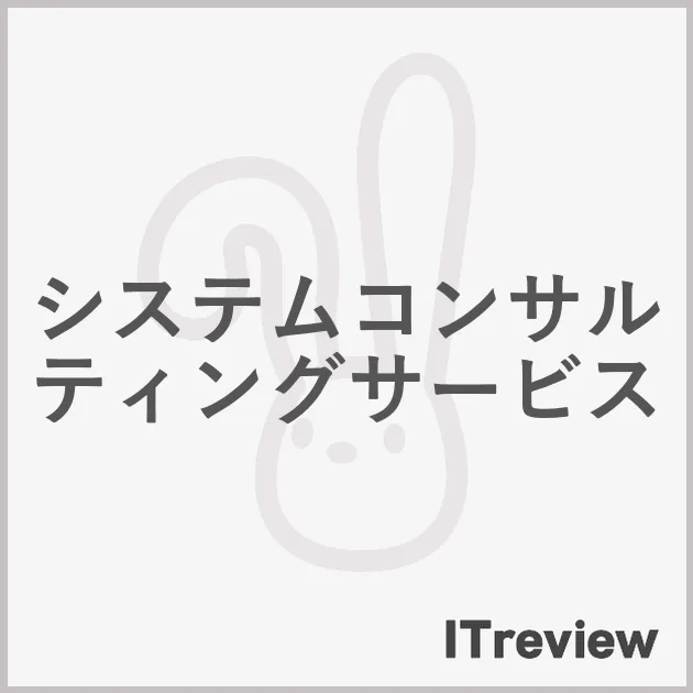 システムコンサルティングサービス