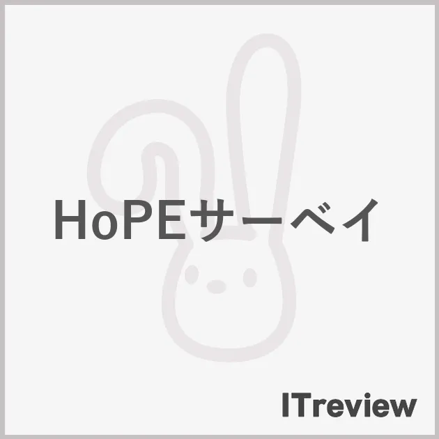 HoPEサーベイ
