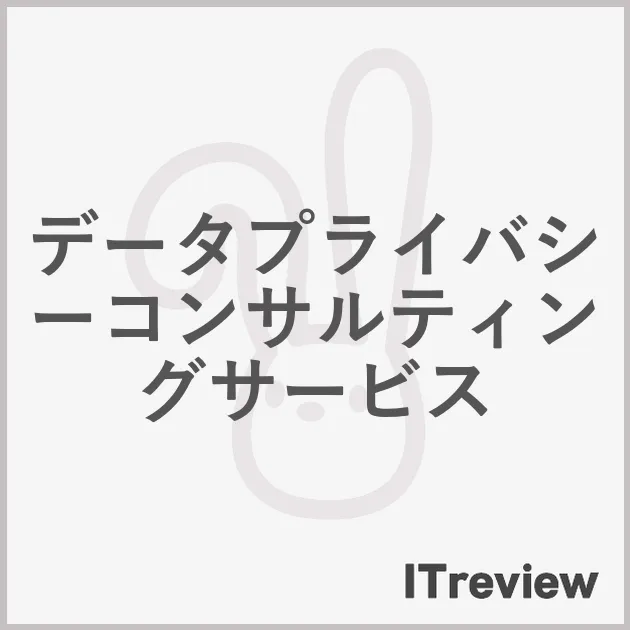 データプライバシーコンサルティングサービス