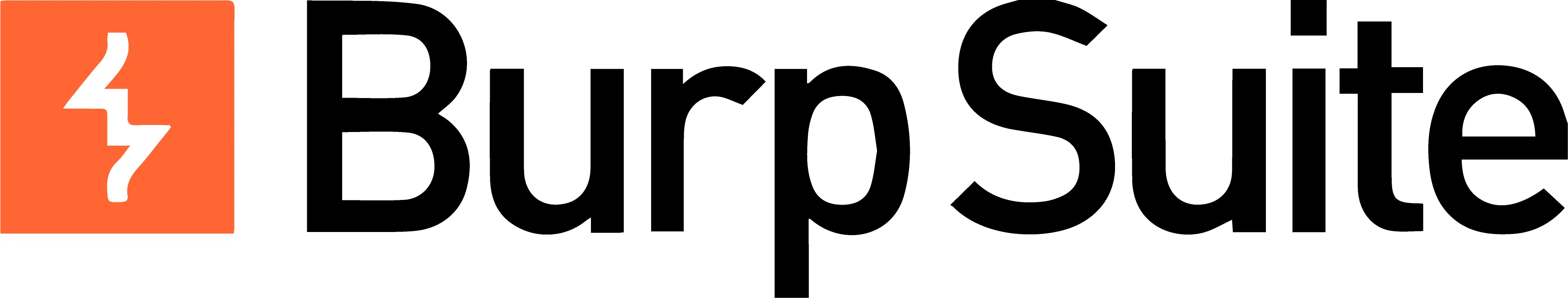 Burp Suite
