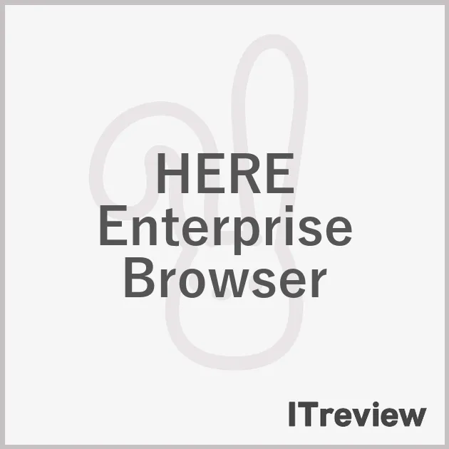 HERE Enterprise Browser