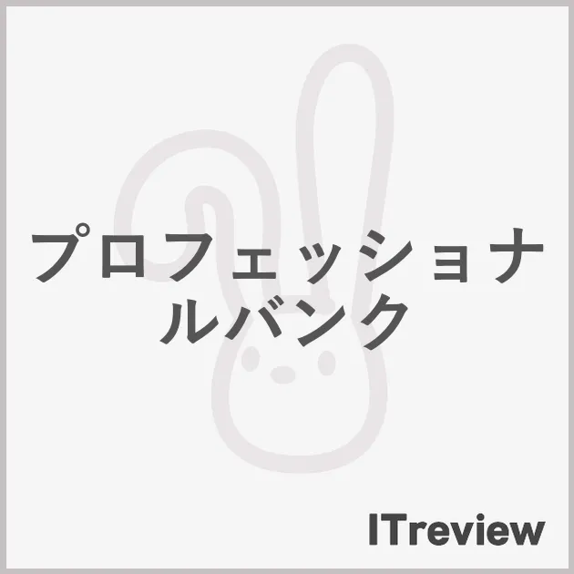 プロフェッショナルバンク