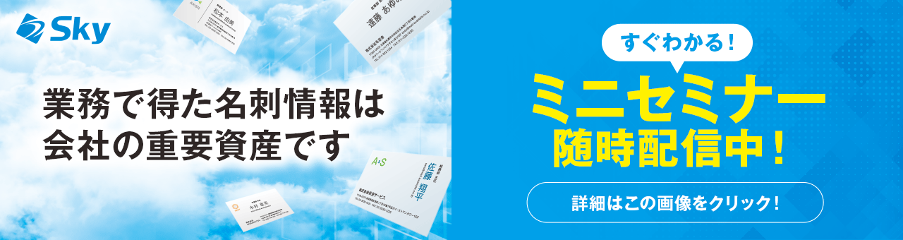 SKYPCE