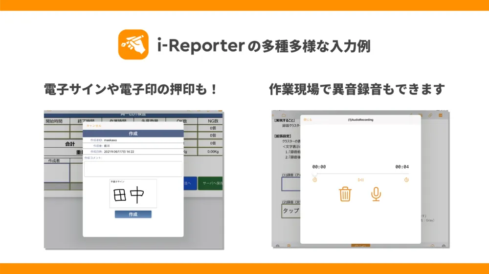i-Reporterの多種多様な入力例その2