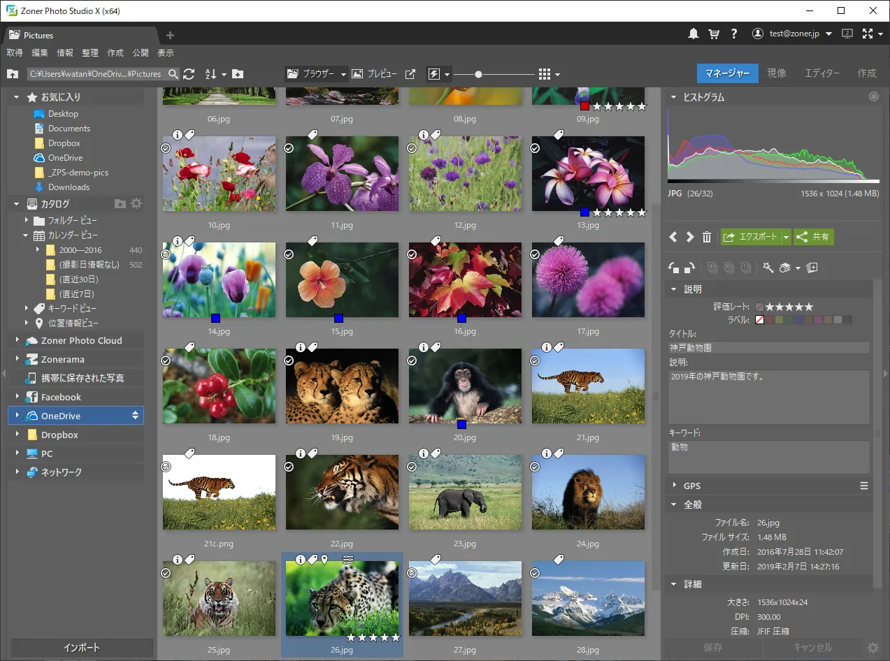 Zoner Photo Studio X・マネージャー（メイン画面）
