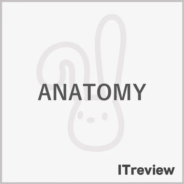 ANATOMY