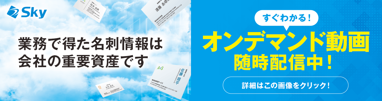 SKYPCE