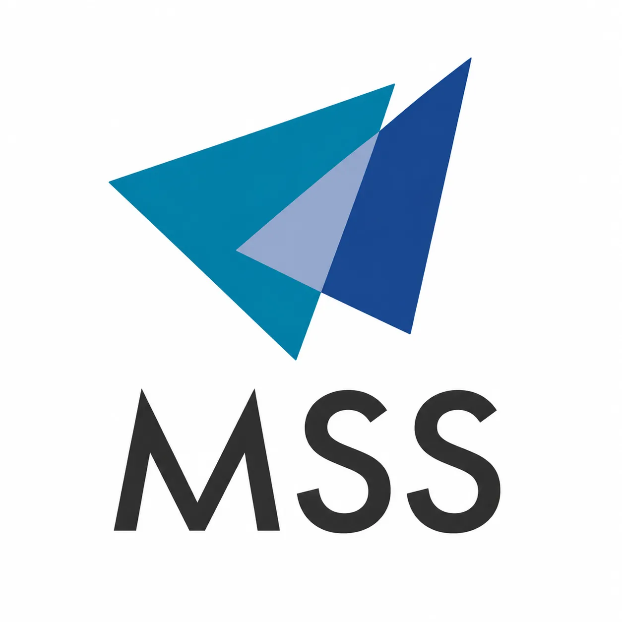 株式会社MSS