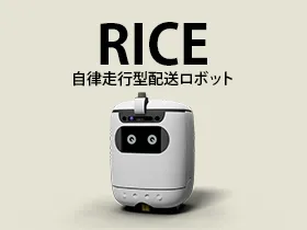 RICE