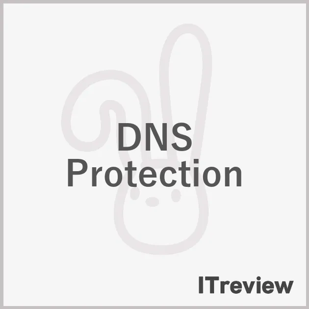 DNS Protection