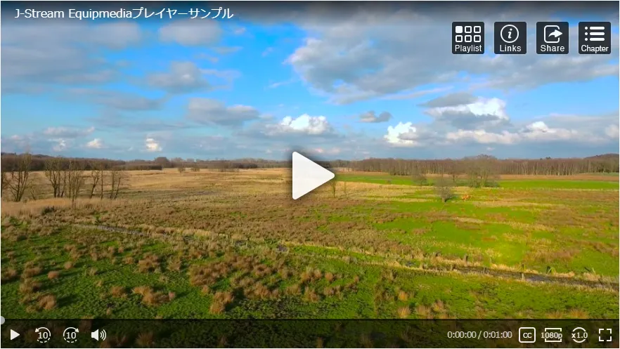 多機能プレイヤー